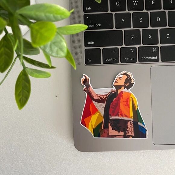3/$20 Harry Styles Pride Vinyl Sticker - Picture 2 of 3